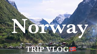 【ノルウェー旅行 vol.2】フィヨルド絶景クルーズの旅へ｜鉄道｜観光