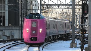 キハ261系はまなす編成4両 飛行機減便に伴う函館行き臨時特急 札幌駅 2024/1/4