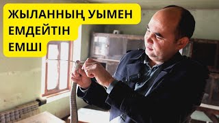 ЖЫЛАНДАРМЕН ӨМІР СҮРЕТІН ОТБАСЫ / АЛИШЕР ЯРМАТОВ / ДОКТОР КОБРА