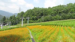 長野県・治部坂高原