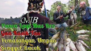 Trik Jitu Pemasangan Umpan Baung / Bekel Senggol Bacok