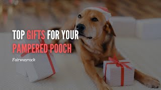 Best Gifts for Dogs: Top Gifts for Your Pampered Pooch