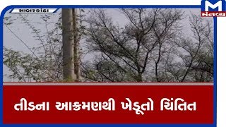 Sabarkantha : ઈડર અને સાંચોદરમાં તીડનું આક્રમણ