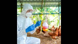 Interwoven Threads of Avian Influenza and One Health with Dr. Greg Gray