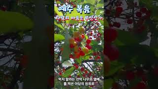 150.사람의 마음은 무엇인가?