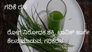 ಗರಿಕೆ ರಸ /ರೋಗ ನಿರೋಧಕ ಶಕ್ತಿ ಕೊಡುವ /ಟಾನಿಕ್ ಹಾಗೆ /lathascorner /howtoprepare /