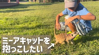 【検証】初対面で、ミーアキャットを抱っこできるのか？動画初登場、YUTAの挑戦。