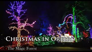 Christmas in Örebro / Magic Forest / Street scenes (Sweden walks)