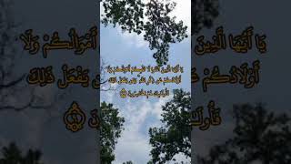 Quran Kareem beautiful voice mashaallah Telawat Quran Kareem #madina #uzbekistan #saudiarabia #islam