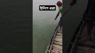 বৃদ্ধ জেলে ইলিশ মাছ ধরছে#viralvideo #fishinglife #hilsa