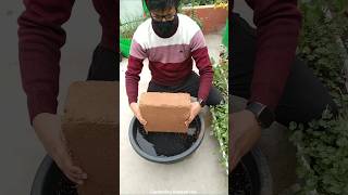 Cocopeat kya hota hai?🤔 || cocopeat brick shape mei kyu hota hai