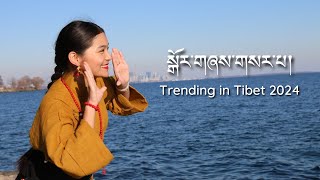 Latest Tibetan Gorshey Trending in Tibet 2024 | སྒོར་གཞས་གསར་པ། | #tibetan #toronto #dancer