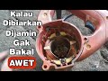 Mengakali Mesin Potong Kayu, Body Rotor Dan Stator Bergesekan