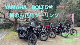 YAMAHA BOLT  ５台ツーリング　賀名生梅林・広橋梅林　ライダースカフェ、ヴィンテージなど。奈良県吉野郡 2022/3/12