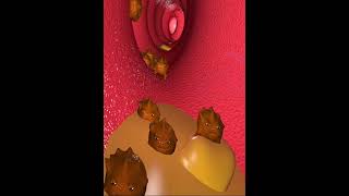 Digestive system- Bacteria in Large intestine (3D Animation)