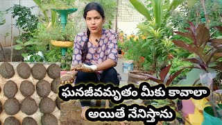 JEEVAMRUTHAM PREPARATION - step by step procedure|How to Make Ghana Jeevamruth at Home by Manjustore