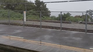 185系貨物線ツアー⑥根府川駅にて