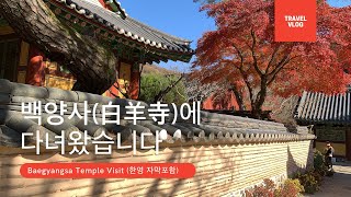 백양사(白羊寺)에 다녀왔습니다! (Baegyangsa Temple Visit) 자막포함 (with Eng subtitles)