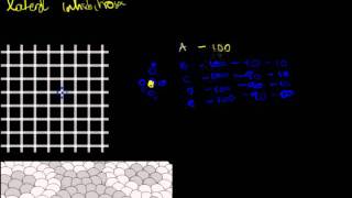 14 Basic Circuits 2 - Lateral Inhibition Illusions