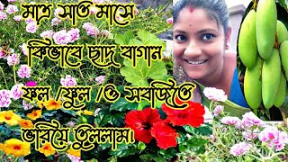 মাত্র সাত মাসে কিভাবে ফল/ ফুল /ও সবজিতে / ছাদবাগান ভরিয়ে তুলেছি সহজে খরচ না করে