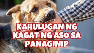 KAHULUGAN NG KAGAT NG ASO SA PANAGINIP | GIO AND GWEN LUCK AND MONEY CHANNEL