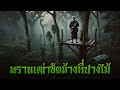 พรานเฒ่าขัดห้างที่ปางไม้ l กองไฟ คลาสสิก