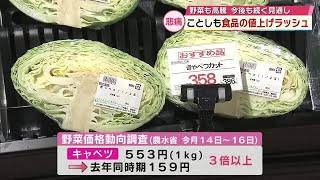 キャベツ1玉553円　2024年を上回る値上げラッシュ　調理師目指す学生にも影響「支払う実習費増」