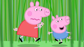 Cartoons für Kinder | Das Lange Gras! | Peppa Pig Deutsch Neue Folgen | Cartoons für Kinder