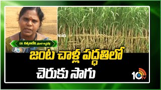 జంట చాళ్ల పద్ధతిలో చెరుకు సాగు | Sugarcane Cultivation | Matti Manishi | 10TV