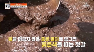 세월의 맛은 함부로 흉내낼 수 없다! 남도 김치의 깊은 맛을 만드는 '7년' 이상 숙성시킨 멸치젓♬ | 서민갑부 439 회