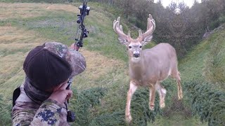 BIG VELVET WHITETAIL BUCK BOWKILL in ALBERTA S5 Ep2