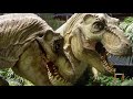 What Happened To The Tyrannosaur Family On Isla Sorna