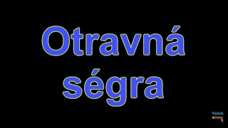 Otravná ségra/SKETCH [HD] Vašek