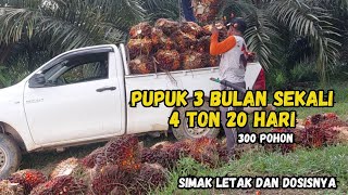 Menghasilkan 4 Ton Per 20 Hari// Dosis Pupuk NPK Mahkota