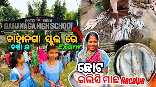 ବର୍ଷା Exam ରେ 94% ରଖିଛି | ସେଇ ଖୁସି ରେ ଇଲିଶି ମାଛ Party 💃💃💃😂 | Odia Vlog