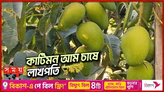 জাদুর আম কাটিমন: চাইলেই গাছে ফলে | Chapai Mango Garden | Katimon Mango | Mango Business | Somoy TV