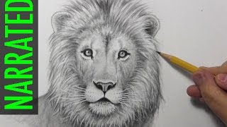 How to Draw a Lion [Narrated, Step by Step]