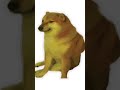 Doge bonk #shorts #memes