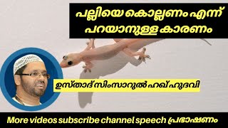 പല്ലിയെ കൊല്ലണം എന്നു പറയാനുള്ള കാരണം