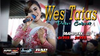 Wes Tatas (Cover Putri Cebret) SUPRANADA INDONESIA || BAP AUDIO - live Petung Jatiyoso Karanganyar