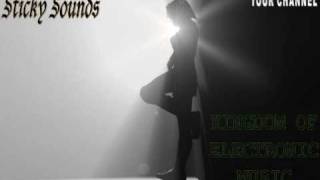 David Vendetta - She Turns Around (Hook N Sling Remix)