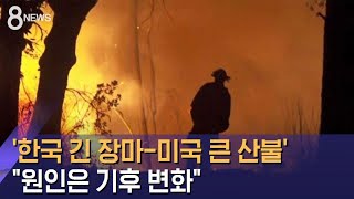 한국 때린 '슈퍼 장마'-미국 삼킨 '최악 산불', 뿌리는 같다 / SBS