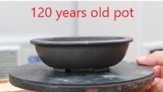 bonsai pot　盆栽鉢　松柏　泥鉢