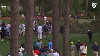 Terrifying moment when tree fall nearly crushes crowd at Masters Tournament in Augusta, Georgia