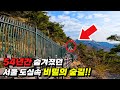 🚫54년 만에 드디어 개방!! | 민간인 출입이 철저히 금지됐던 서울 도심속 숨겨진 숲길 탐방 여행 | 지하철역 출발 | 걷는 여행 | 국내 여행 | 서울 가볼만한 곳 | 트레킹