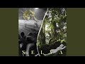 Selva