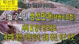 1월 24일, 새해 복 많이 받으세요. 제수용, 자연산 반건조 민어, 마른 생선, 냉동 생선, 기타, (탁선장 목포 남도농수산 010 3167 7150. 010 9871 0441)