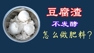 没有腐熟的豆腐渣，怎么做肥料？