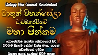 බක්කුල මහ රහතන් වහන්සේගේ ධාතු වැඩම කිරීම / සීල සුව හේරත් භික්ෂු ගිලන් අරණ ගිරිබාව