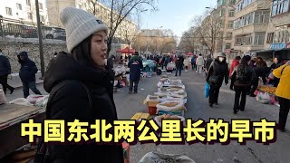 Visit the 2KM market of China, - 20­°C, lots of food,  everything forzen 🇨🇳